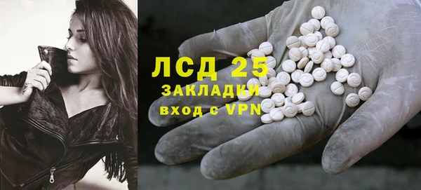 стаф Касимов