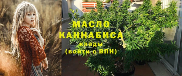 Альфа ПВП Каменка