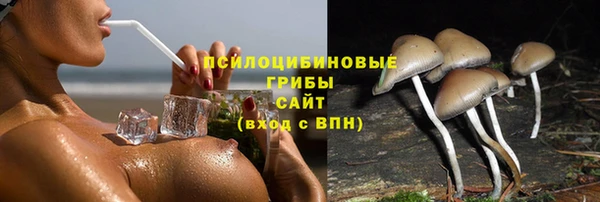 ГАЛЛЮЦИНОГЕННЫЕ ГРИБЫ Каменск-Шахтинский