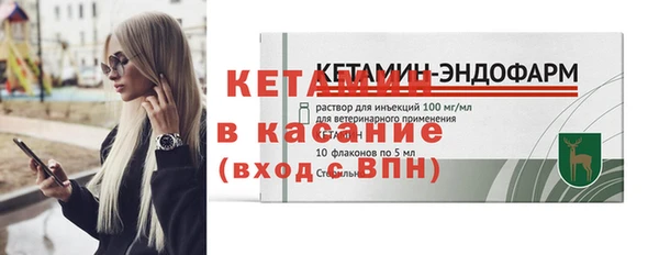 стаф Касимов