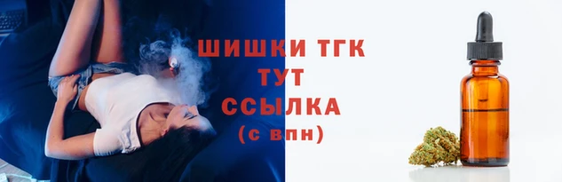 Альфа ПВП Каменка