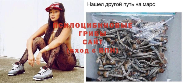 a pvp Каменногорск