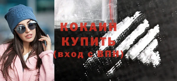 Альфа ПВП Каменка