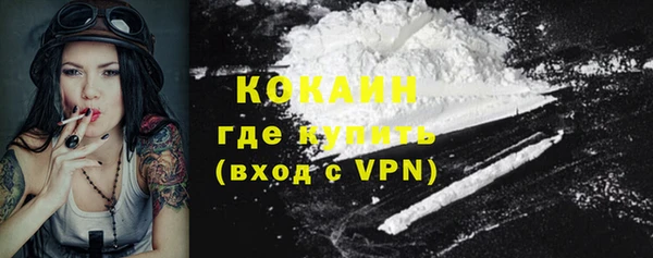 Альфа ПВП Каменка