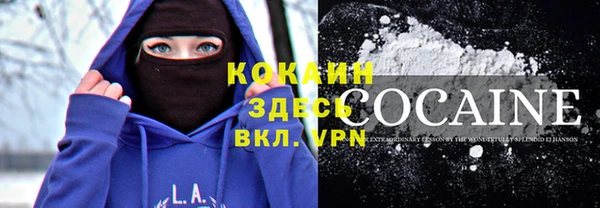 Альфа ПВП Каменка